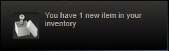 You have 1 new item in your inventory